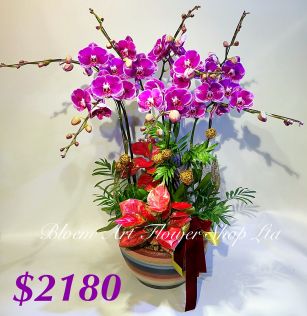 Table arrangement - Premium CODE 63799